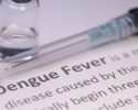 dengue-fever