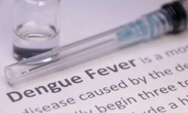 dengue-fever