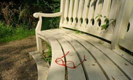 bench-seat-furniture-wood